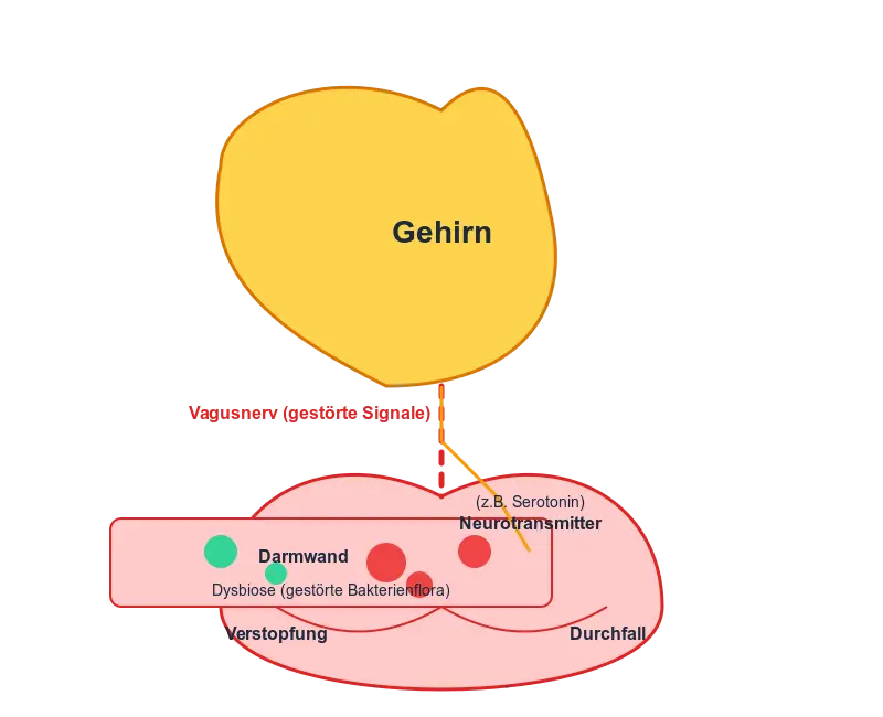Infografik der Gehirn-Darm-Achse, die die bidirektionale Kommunikation zwischen Gehirn und Darm darstellt. Sie zeigt, wie Stress und Emotionen die Symptome des Reizdarmsyndroms, wie Bauchschmerzen und Verdauungsstörungen, beeinflussen.