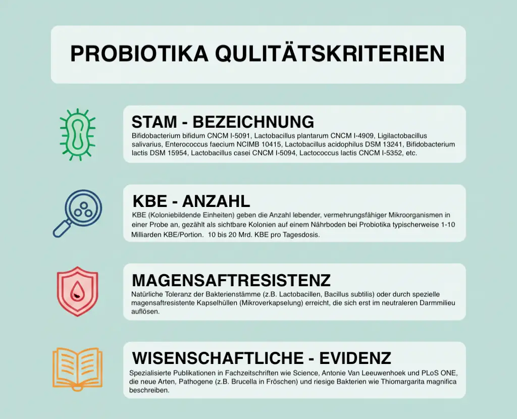 Checkliste für hochwertige Probiotika: KBE-Anzahl, genaue Stamm-Bezeichnung und Magensaftresistenz als Qualitätsmerkmale.