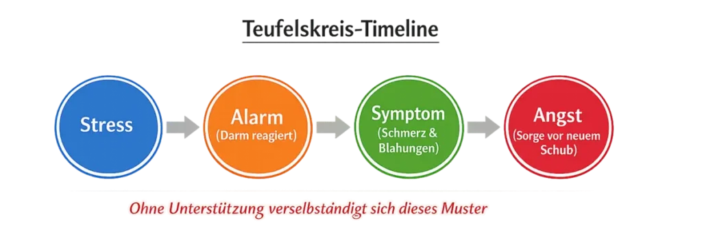 Der Teufelskreis aus Stress und Darmbeschwerden – 4 Stufen